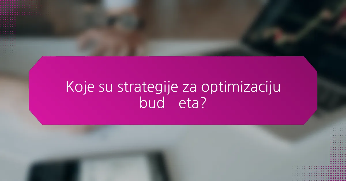 Koje su strategije za optimizaciju budžeta?